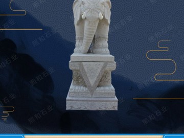 供應優質石雕大象 門口擺件 惠安石雕專業廠家直銷 專業水準