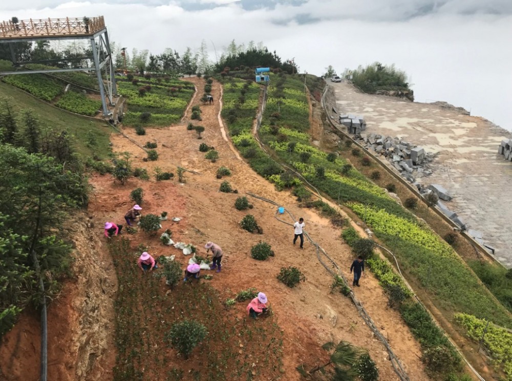 富強石材董事長彭宜斌：“綠色礦山——可持續發展勢在必行”演講紀實