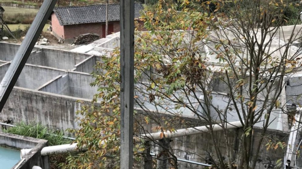 富強石材董事長彭宜斌：“綠色礦山——可持續發展勢在必行”演講紀實