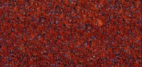 水頭市場“印度紅”遭瘋搶，搶不到也別慌，還有國產印度紅！