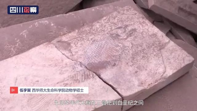 眉山首例！丹棱幸福古村發現疑距今約一億三千五百萬年的“魚化石”！ 