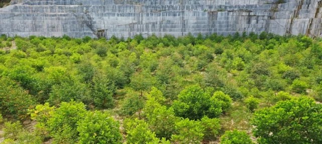 漳浦問題礦山生態(tài)圓滿修復(fù)，全縣石材企升級27家企業(yè)復(fù)電復(fù)產(chǎn)，獲中國環(huán)境報好評