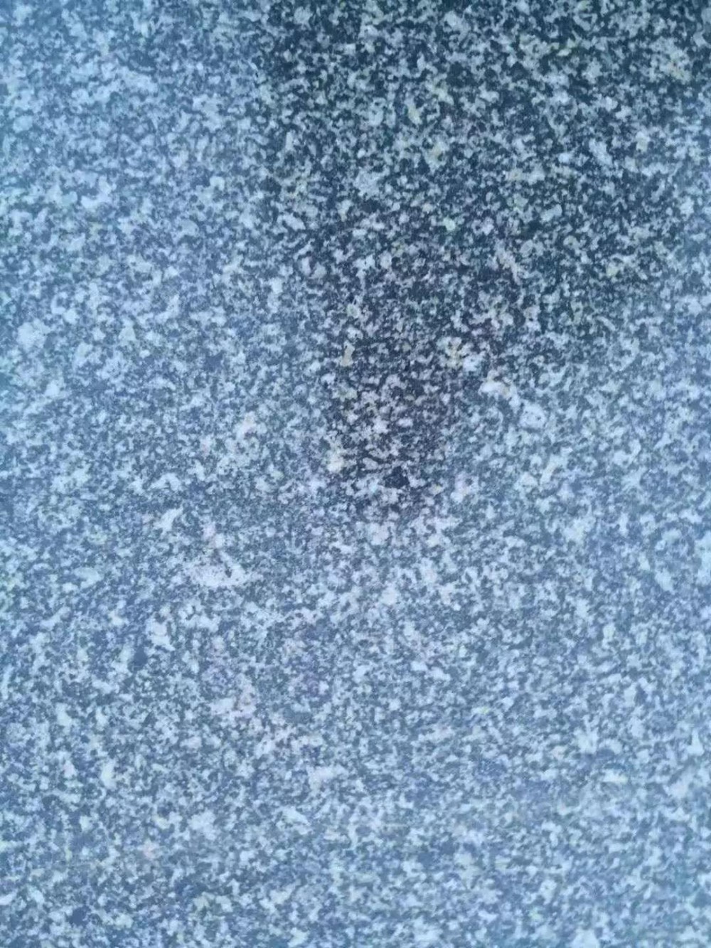 山東鄒城石材槐花綠谷山灰花崗巖