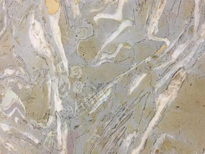 貴陽機場廁所洗手臺化石是哪個石材（海貝花大理石）