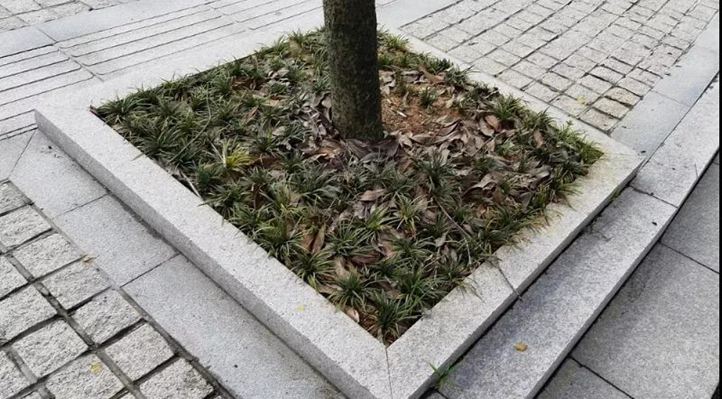 浙江遂昌紅花崗巖礦山及麗水遂昌霞紅（遂昌紅）G3338石材鑒賞！