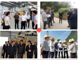 廣西654產地鐘山燕塘鎮